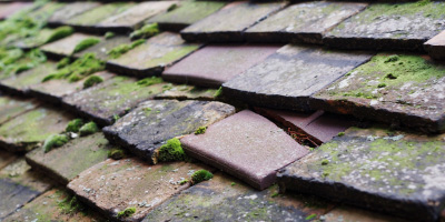 Llanwinio roof repair costs